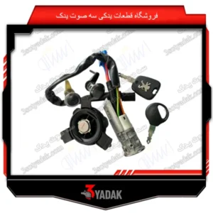 سوئیچ کامل پژو 206 تیپ 5 ایساکو